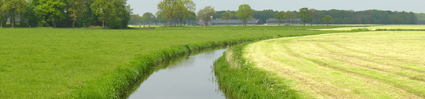 Beleggingshypotheek